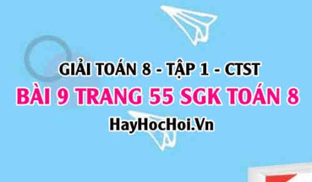 Giải bài 9 trang 55 Toán 8 Tập 1 SGK Chân trời sáng tạo